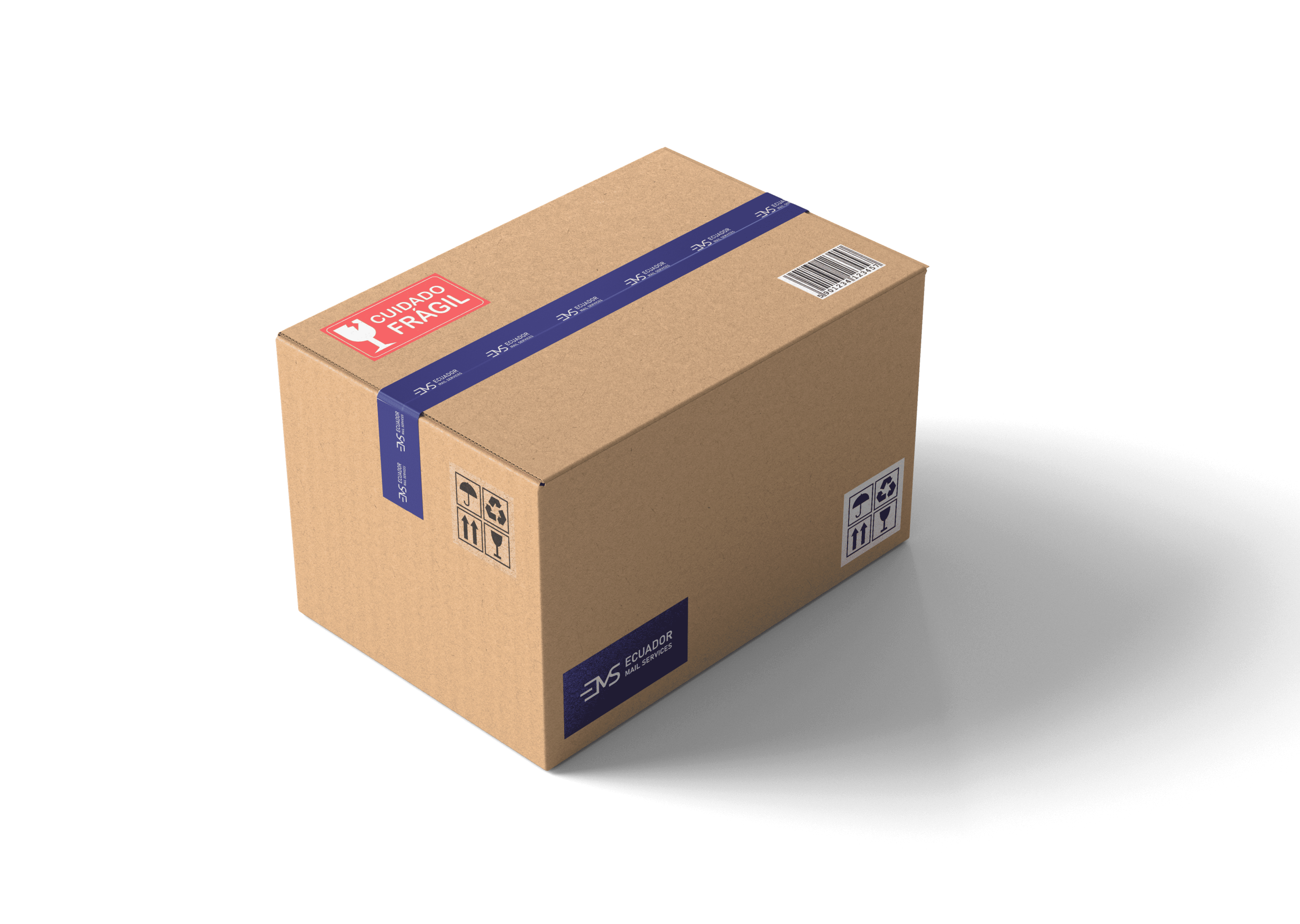 Caja EMS