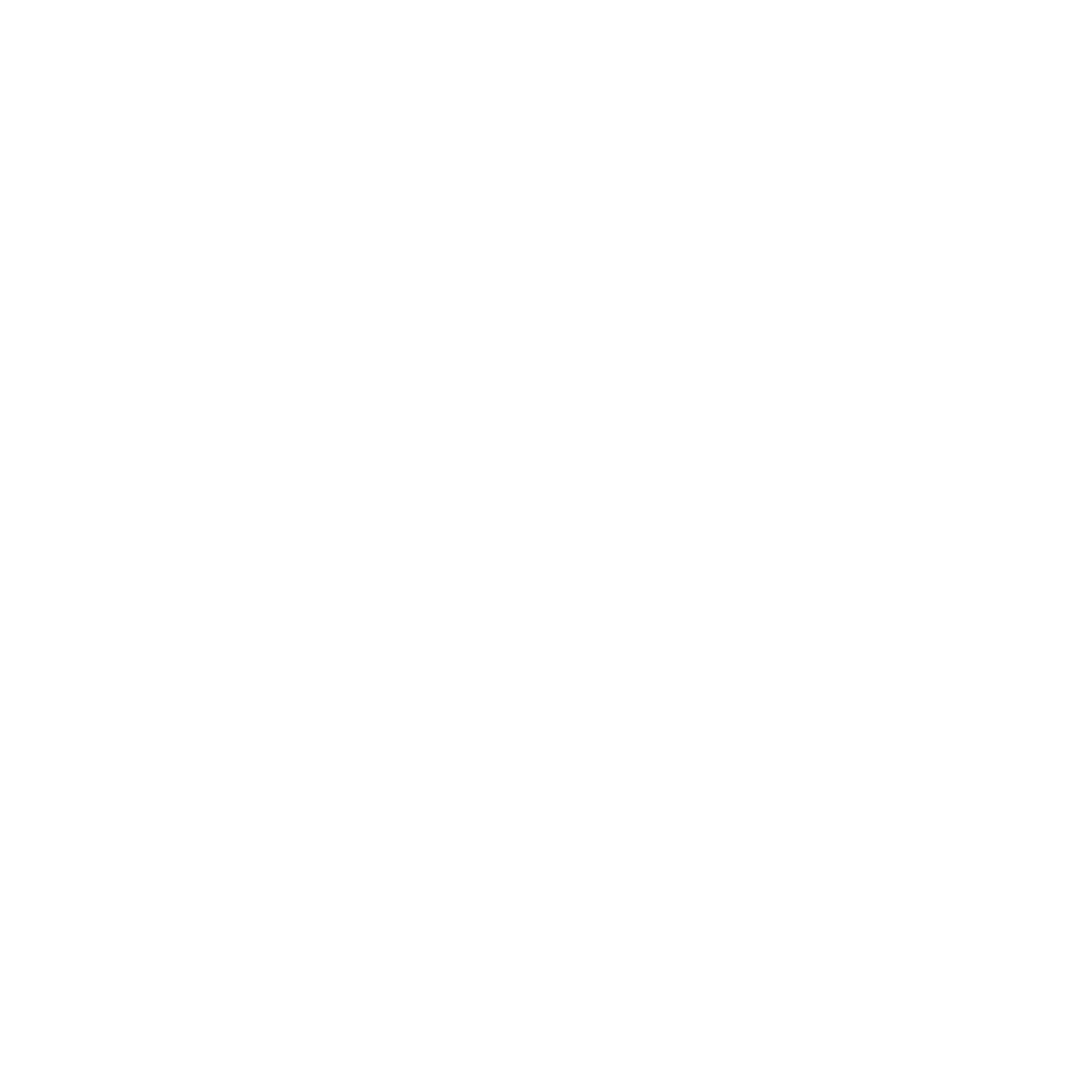 EMS Logo
